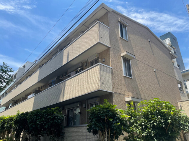 11656905/建物外観