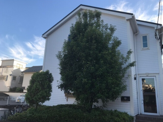 12887713/建物外観